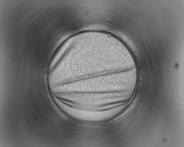 X0000116811329201001081347