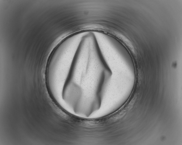 X0000116811330201001081347