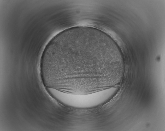 X0000116811331201001081347