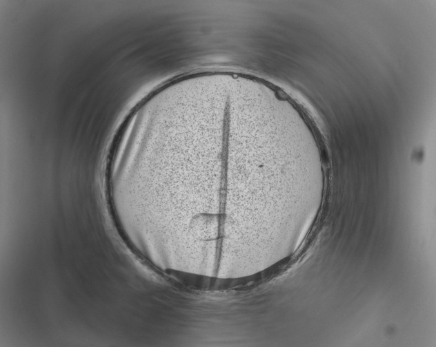 X0000116811333201001081347