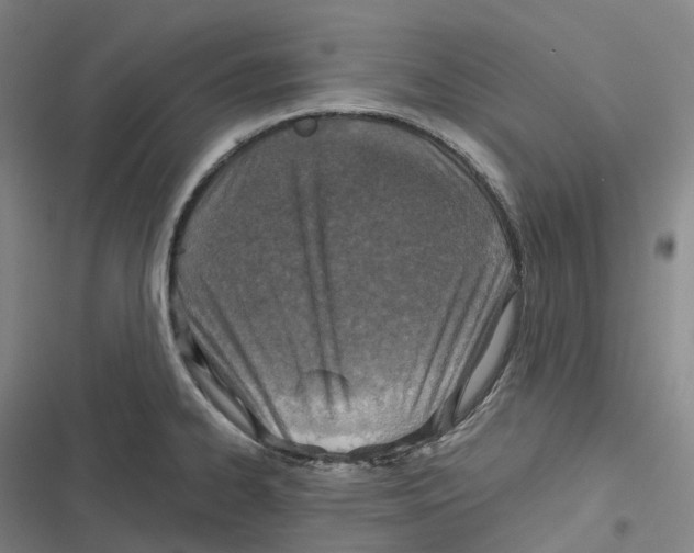 X0000116811334201001081347