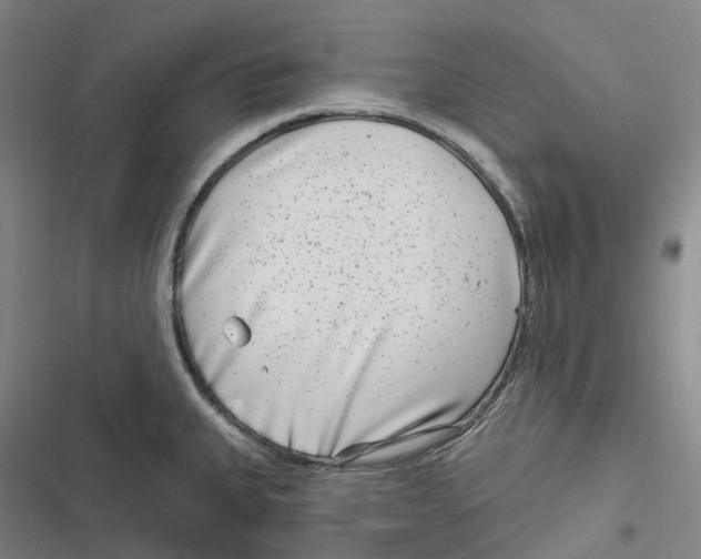 X0000116811335201001081347