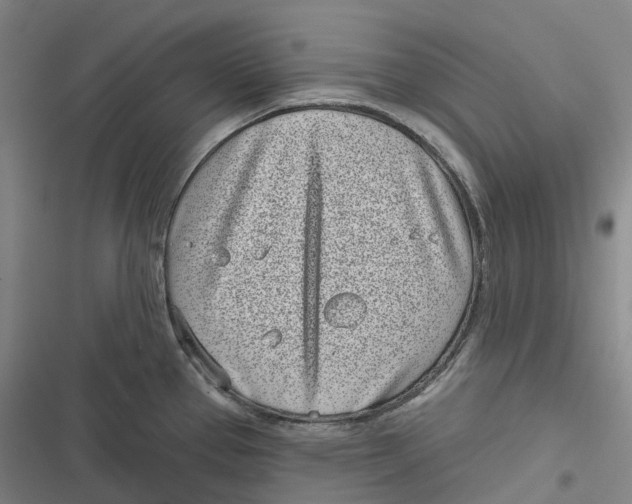 X0000116811337201001081347