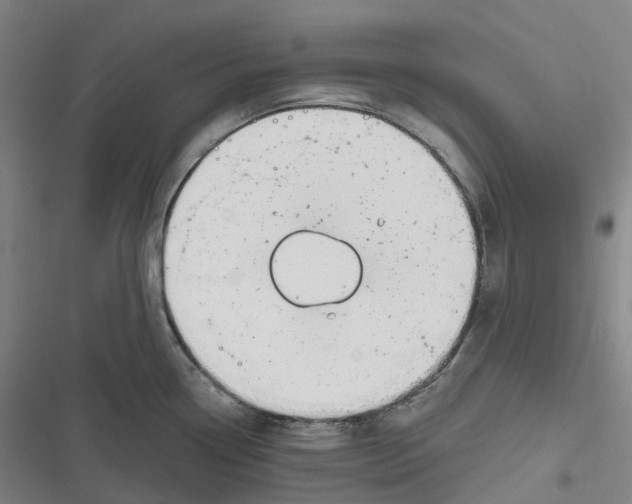 X0000116811338201001081347