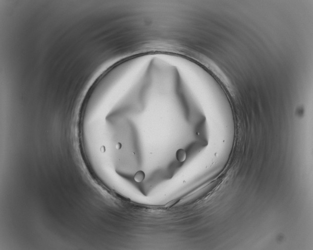 X0000116811339201001081347