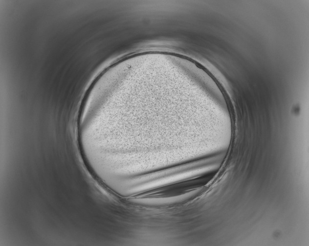 X0000116811341201001081347