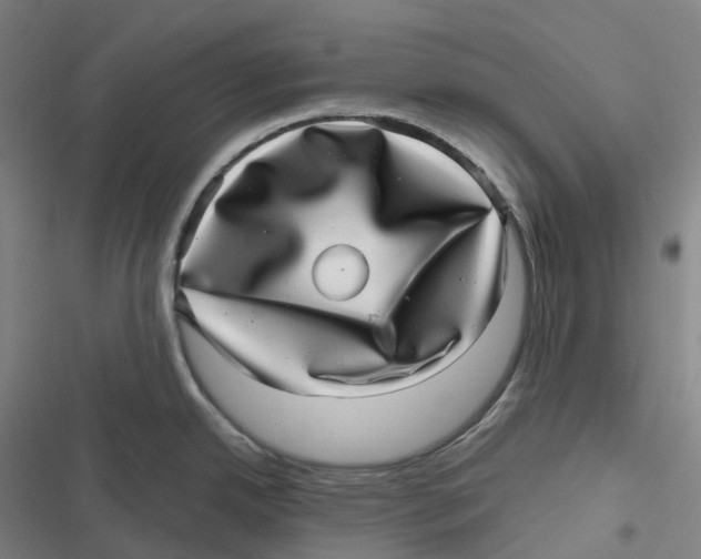 X0000116811342201001081347