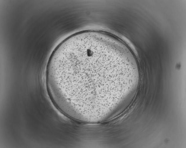 X0000116811343201001081347