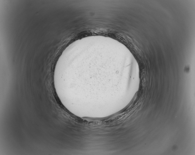 X0000116811345201001081347