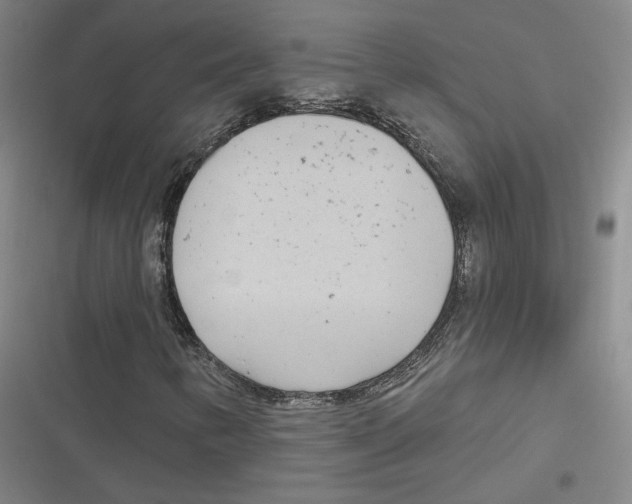 X0000116811346201001081347