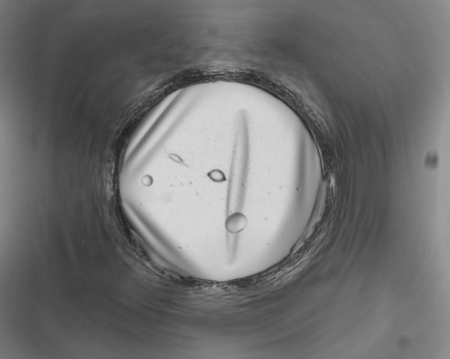 X0000116811348201001081347