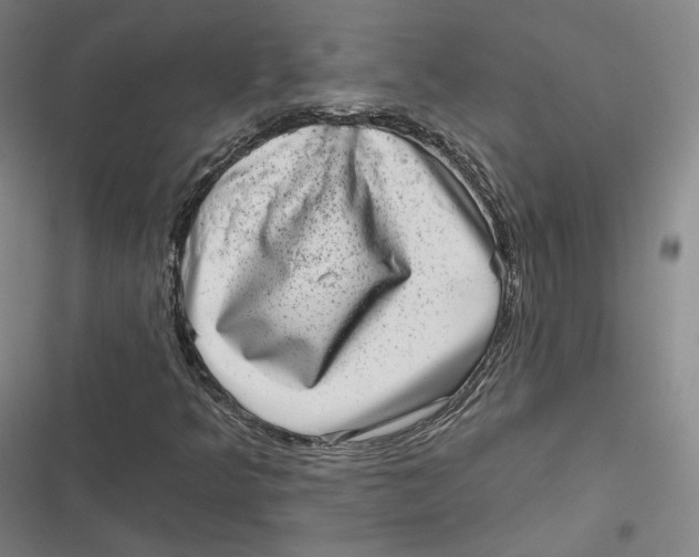 X0000116811349201001081347