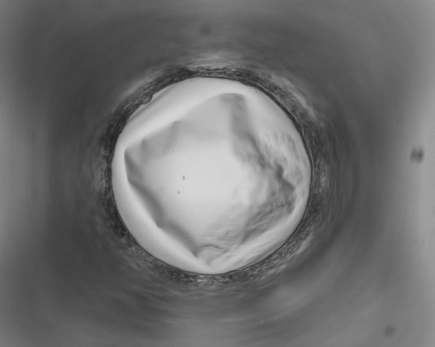 X0000116811350201001081347