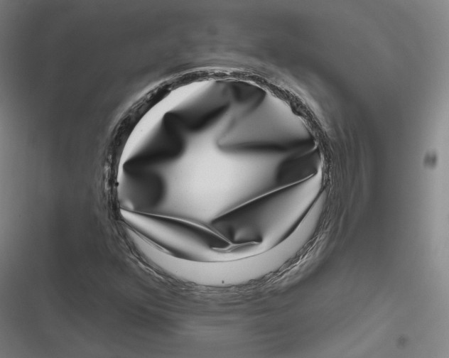 X0000116811352201001081347