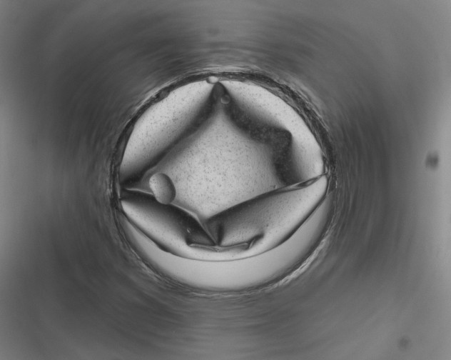 X0000116811353201001081347