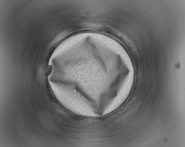 X0000116811354201001081347