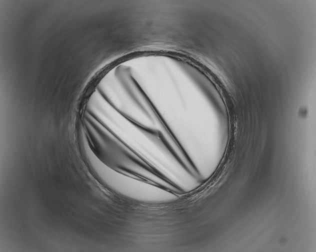 X0000116811356201001081346