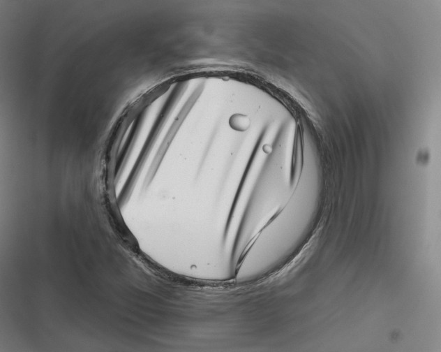 X0000116811357201001081346