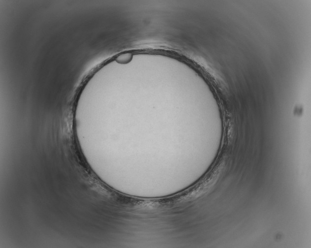 X0000116811358201001081346