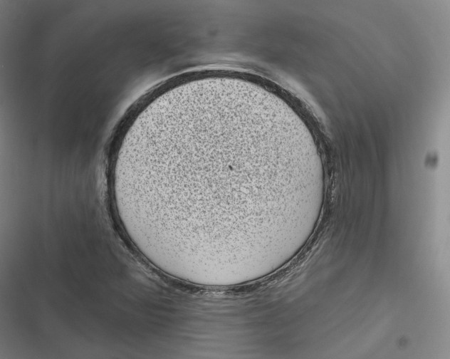 X0000116811360201001081346