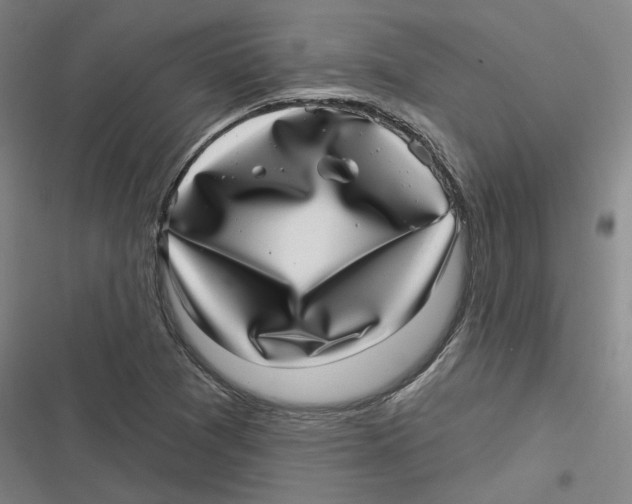 X0000116811361201001081346