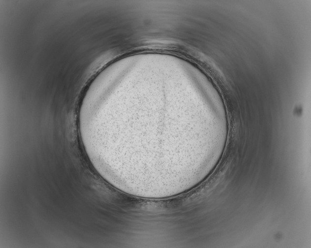 X0000116811362201001081346