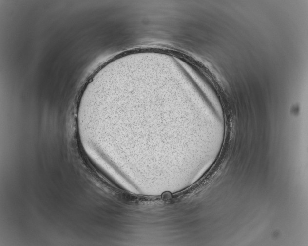 X0000116811363201001081346