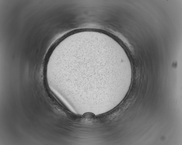 X0000116811364201001081346