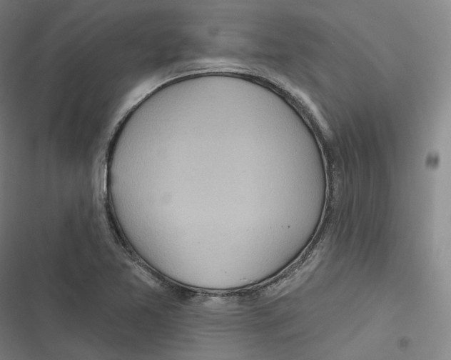 X0000116811365201001081346