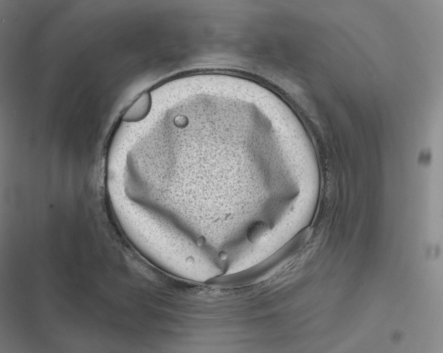 X0000116811366201001081346