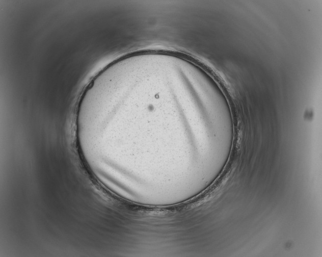 X0000116811367201001081346