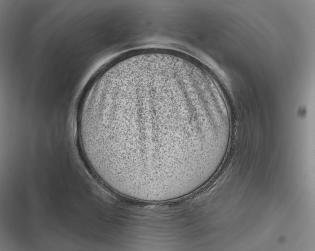 X0000116811368201001081346