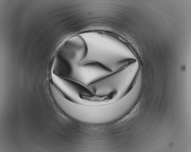 X0000116811369201001081346