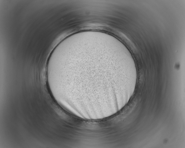 X0000116811370201001081346