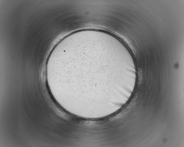 X0000116811371201001081346