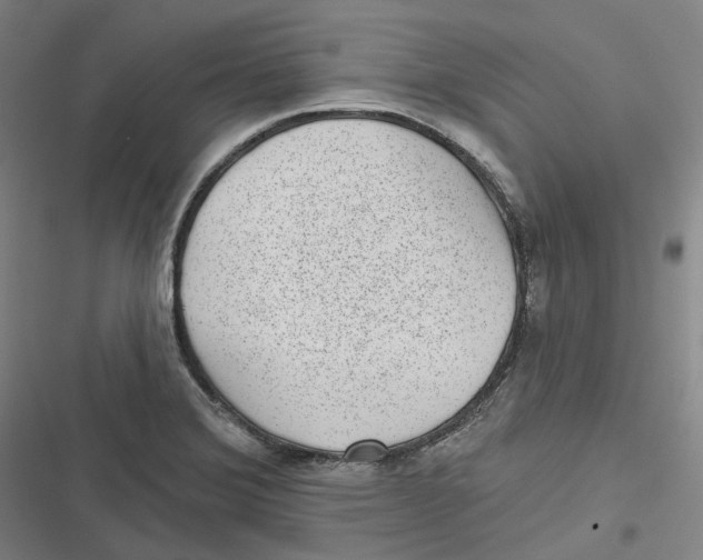 X0000116811372201001081346