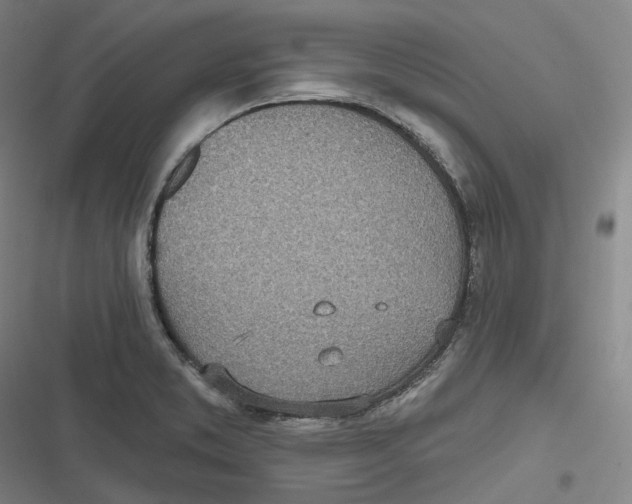 X0000116811373201001081346