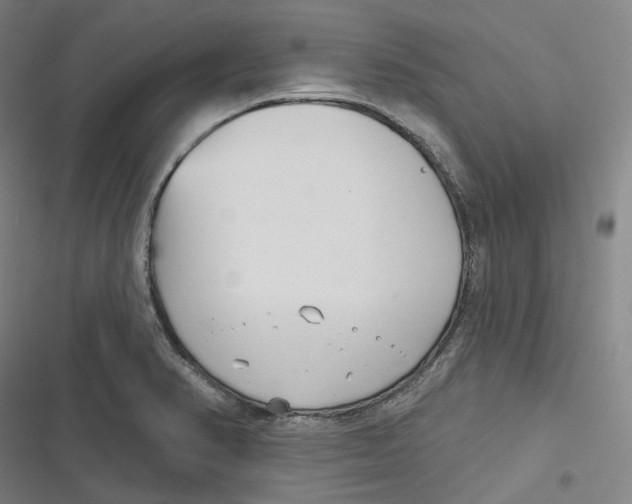 X0000116811374201001081346