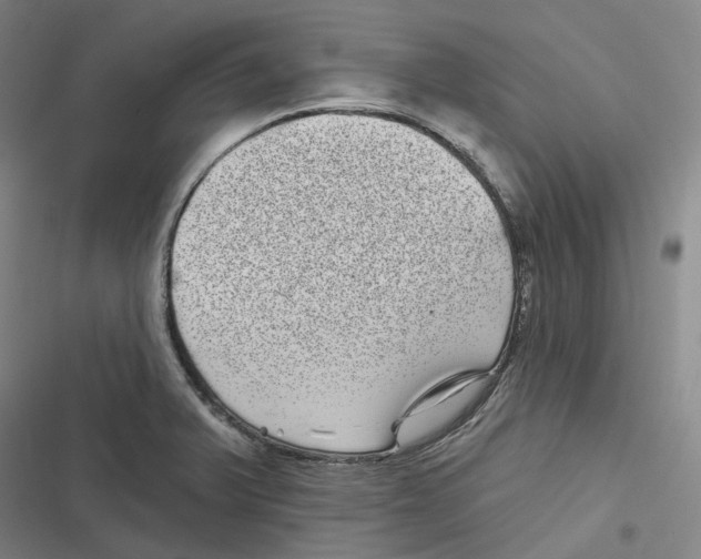 X0000116811375201001081346