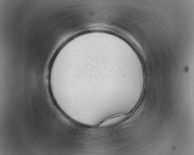 X0000116811376201001081346