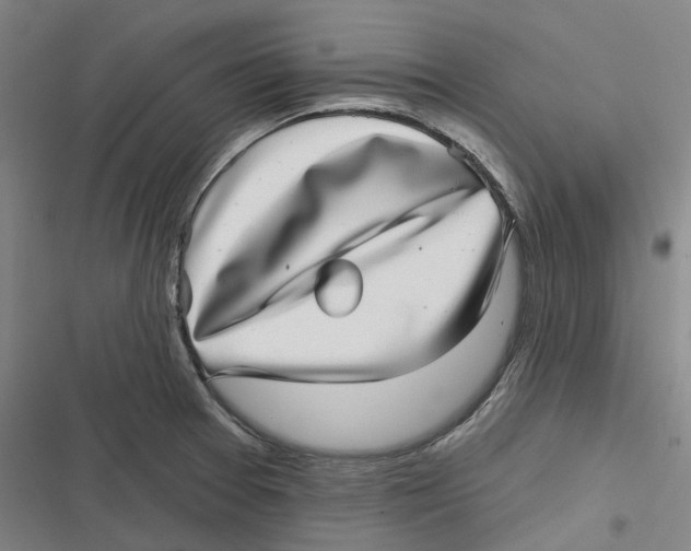 X0000116811377201001081346