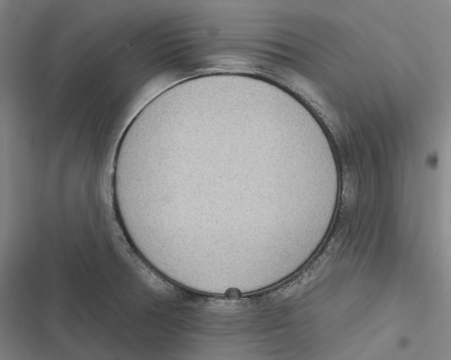 X0000116811378201001081346