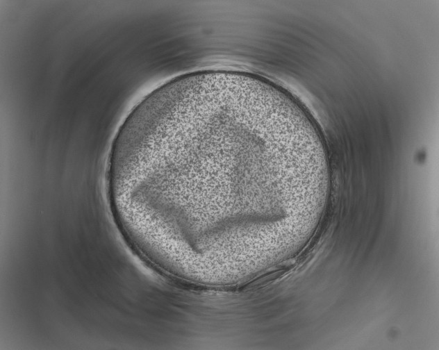 X0000116811379201001081346