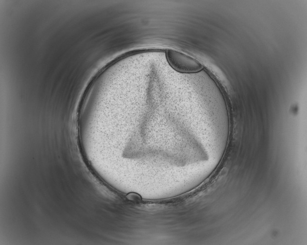 X0000116811380201001081346