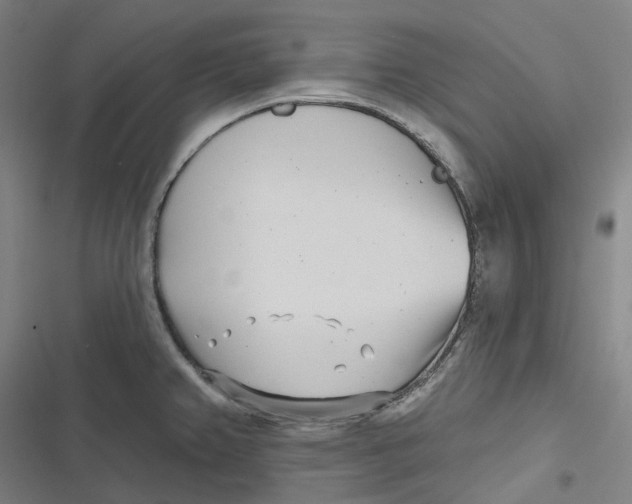 X0000116811382201001081346