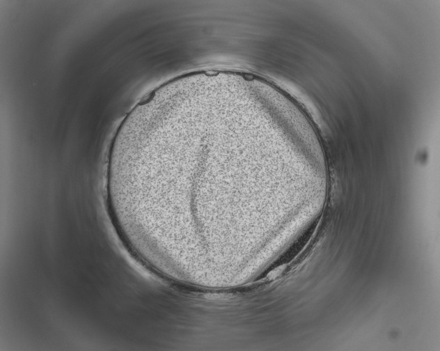 X0000116811383201001081346