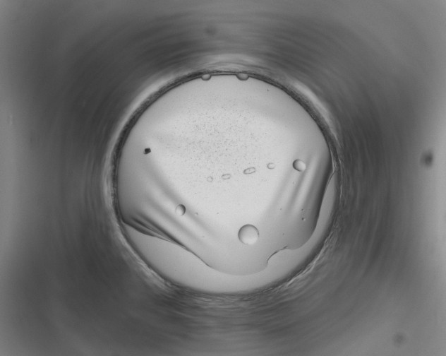 X0000116811384201001081346