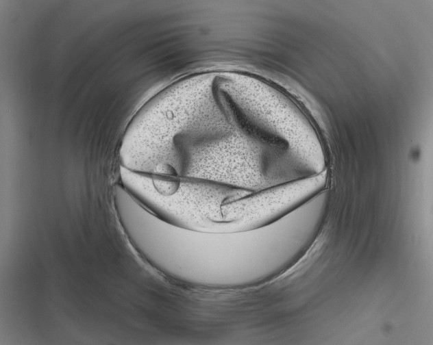 X0000116811385201001081346