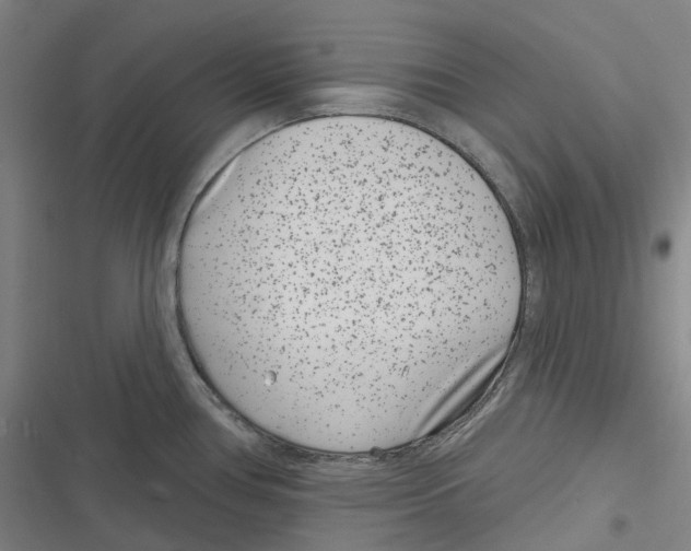 X0000116811386201001081346