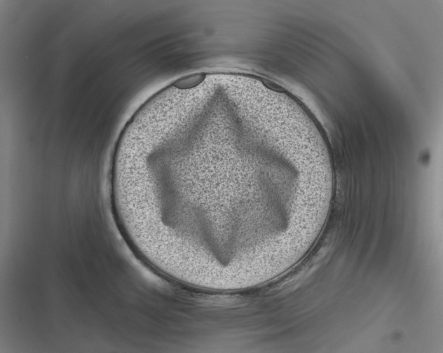 X0000116811387201001081346